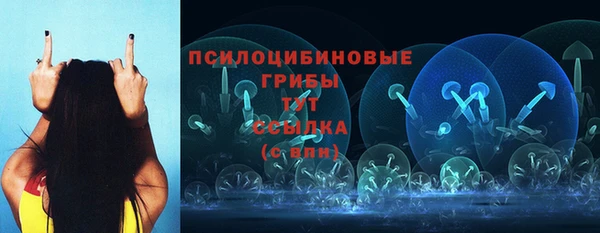 не бодяженный Мегион