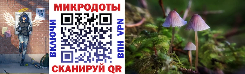 Галлюциногенные грибы Cubensis  Купить  Ладушкин 